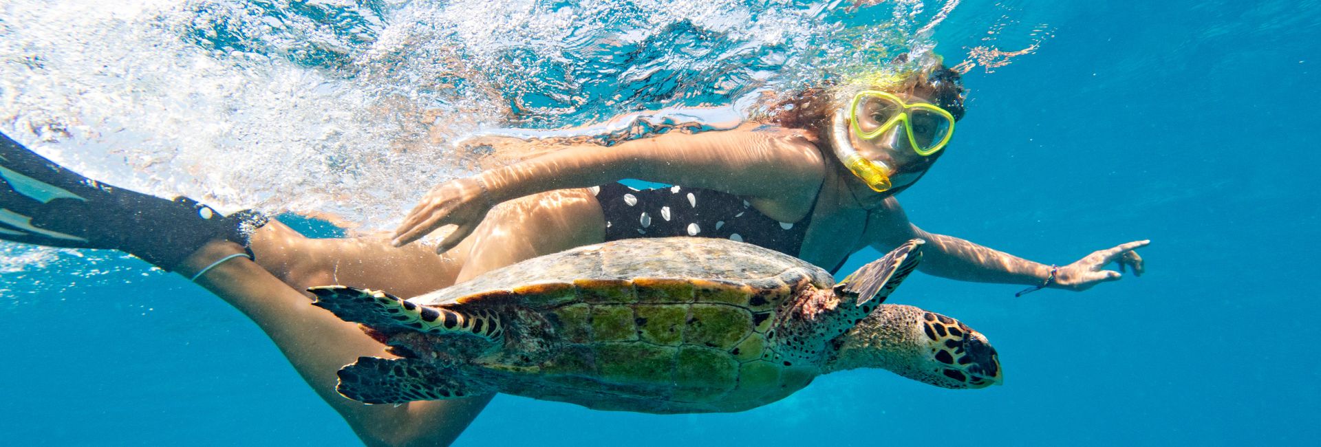 Snorkeling Tours In Cabo Mexico