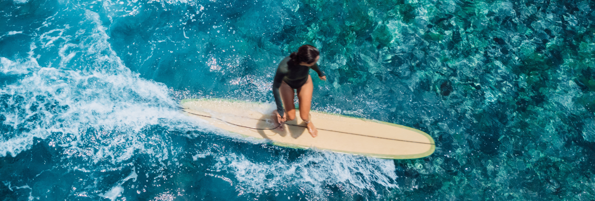 Water Sports Cabo San Lucas