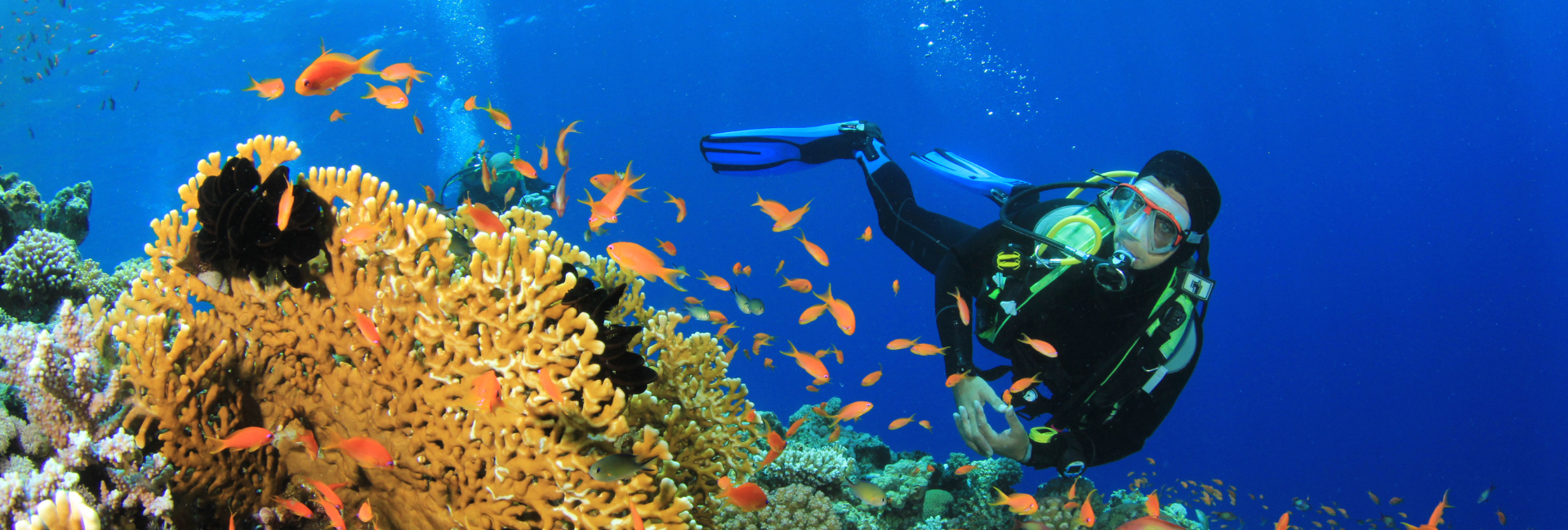 Snorkeling Tours In Cabo Mexico