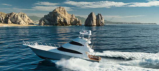 Cabo San Lucas Fishing