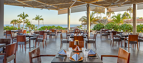 Villa La Valencia Best Restaurants Cabo