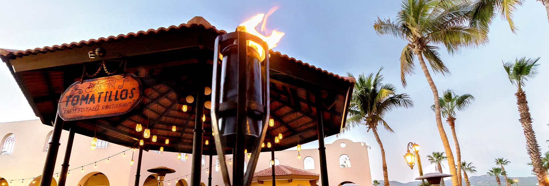 Tomatillos The Newest Culinary Sensation Los Cabos Blog