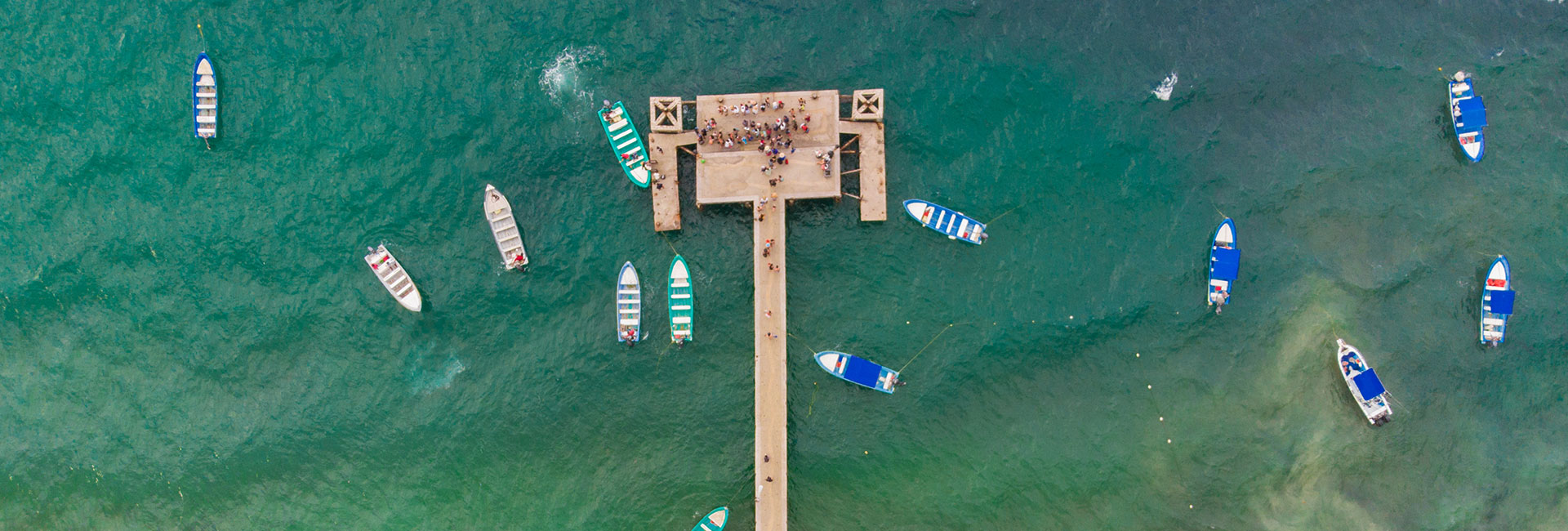 Mexico Travel Advisory Is Nuevo Vallarta Safe? News