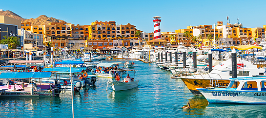 Los Cabos Road Trip Recommend