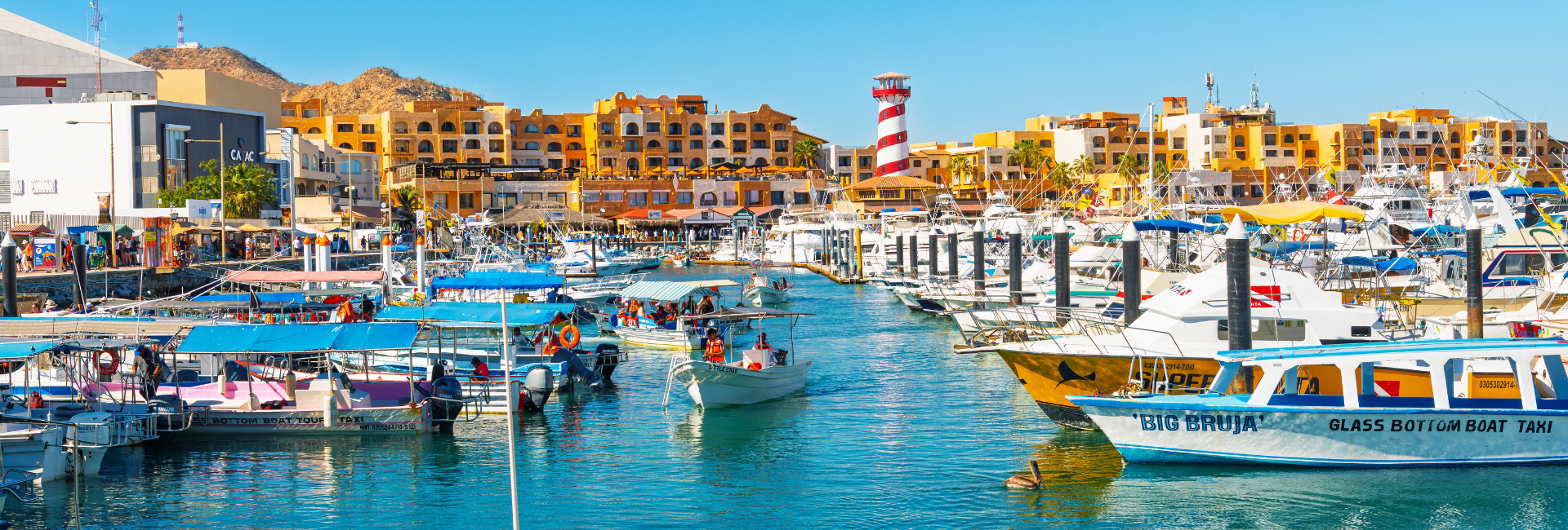 Los Cabos Road Trip Recommend