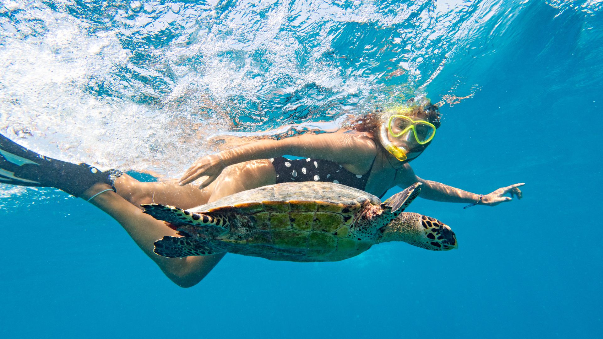 Snorkeling Tours In Cabo Mexico