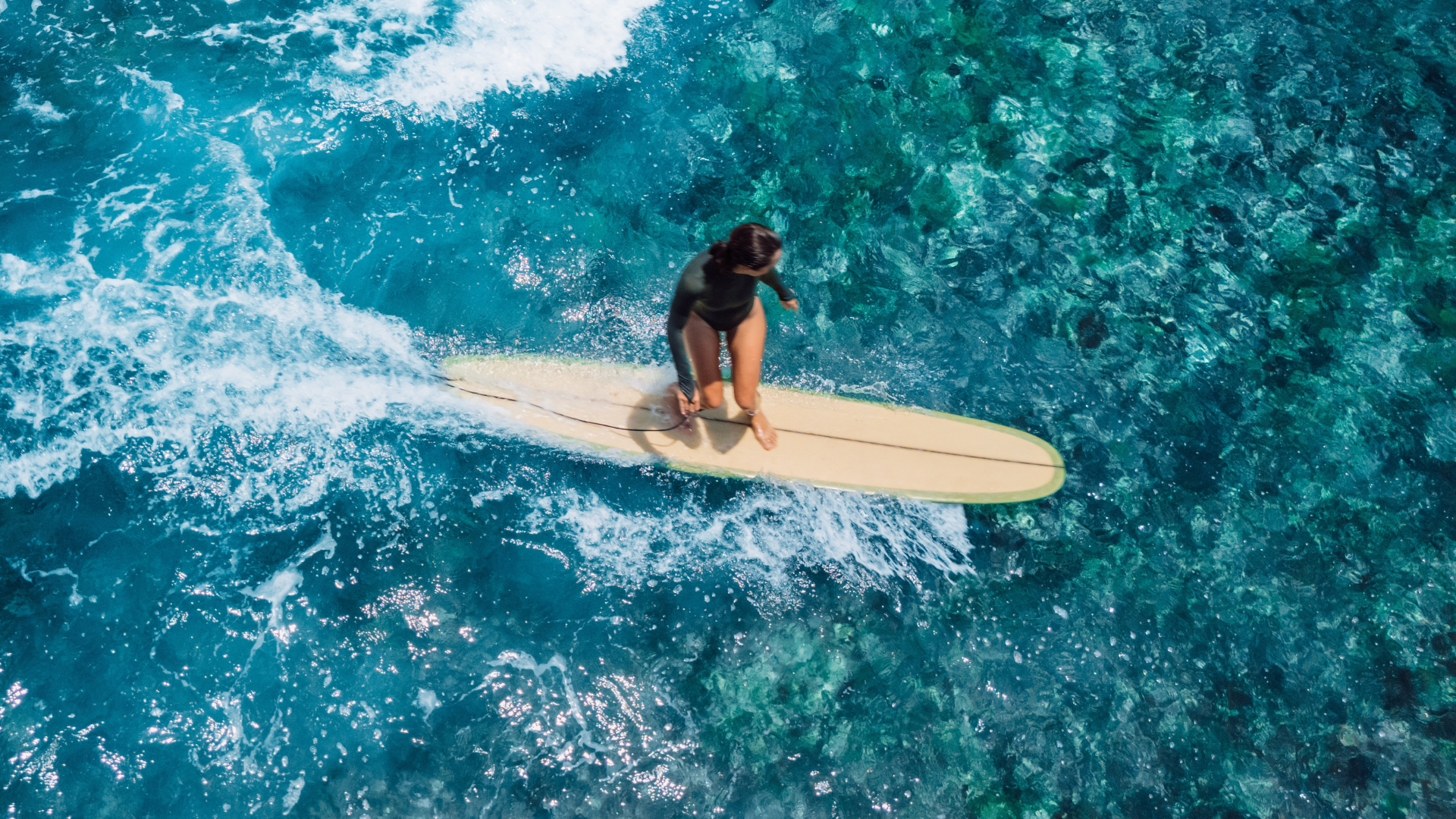 Water Sports Cabo San Lucas