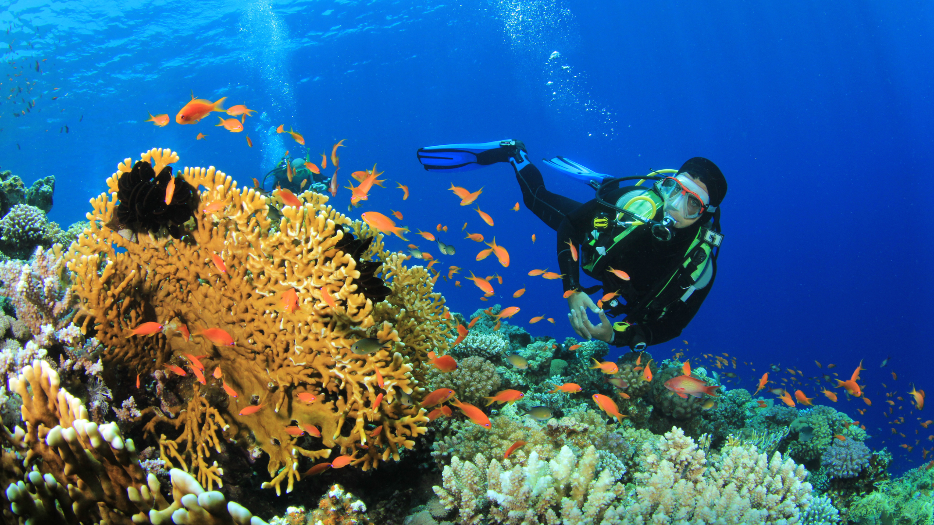 Snorkeling Tours In Cabo Mexico