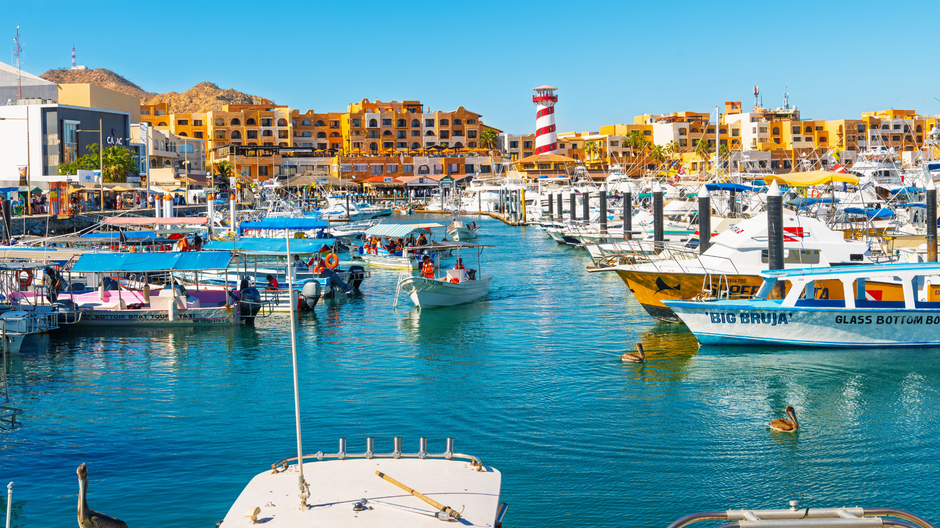 Los Cabos Road Trip Recommend