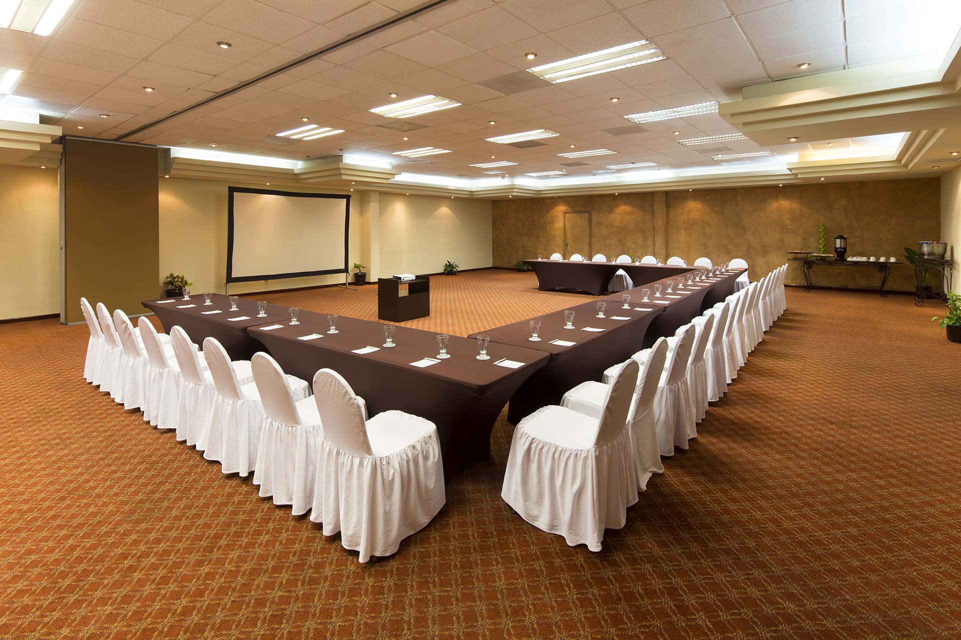 Villa Del Palmar Cabo San Lucas Meeting Facilities