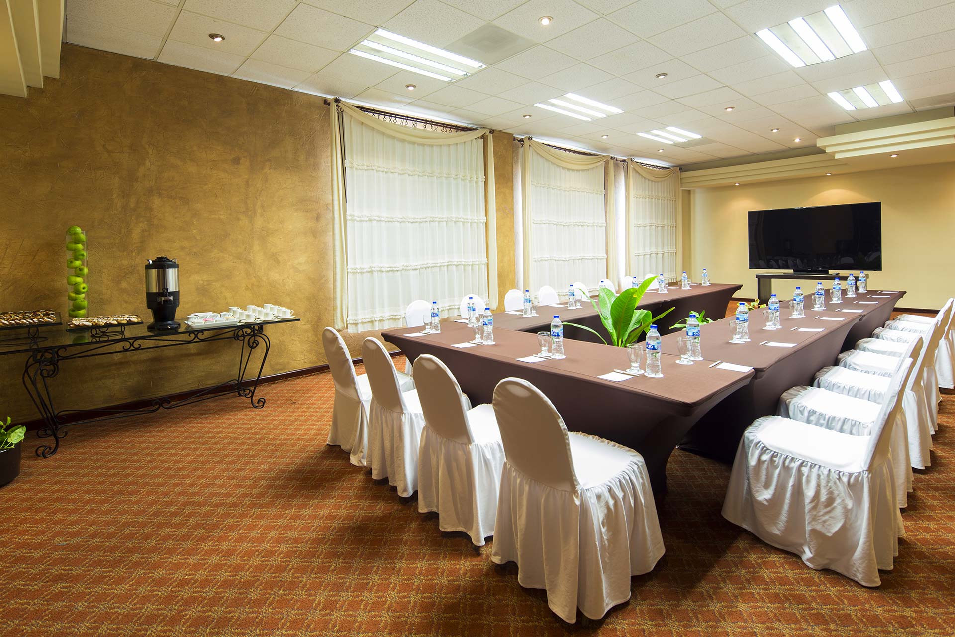 Villa Del Palmar Cabo San Lucas Meeting Facilities