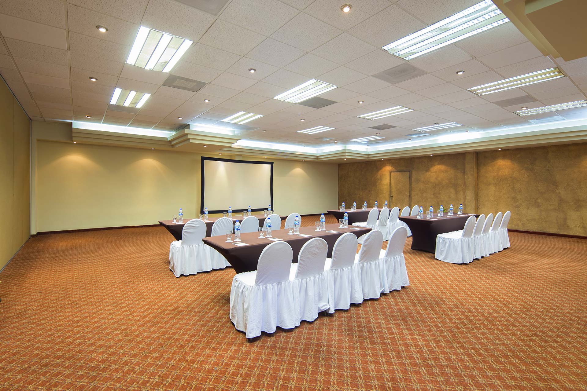 Villa Del Palmar Cabo San Lucas Meeting Facilities