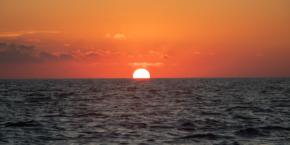 Donde puedo ver el atardecer en Vallarta