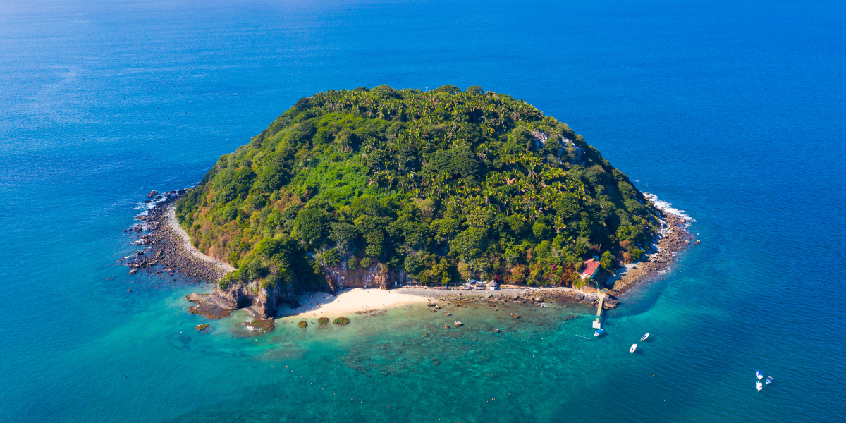 The best tours in Nuevo Vallarta 