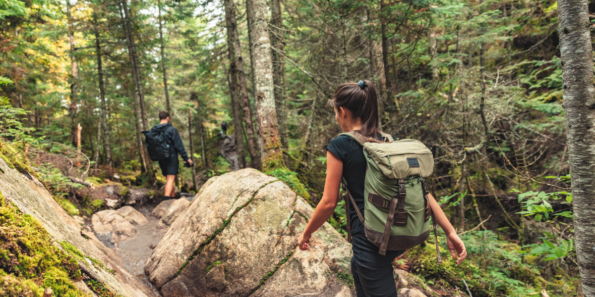 The best route for visiting Cerro Del Mono