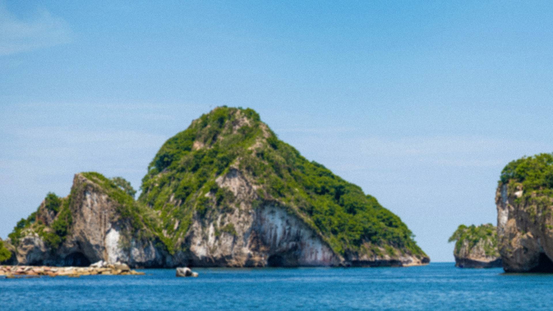 Black Friday   Cyber Days Fondo Vdppv Vpf Opt