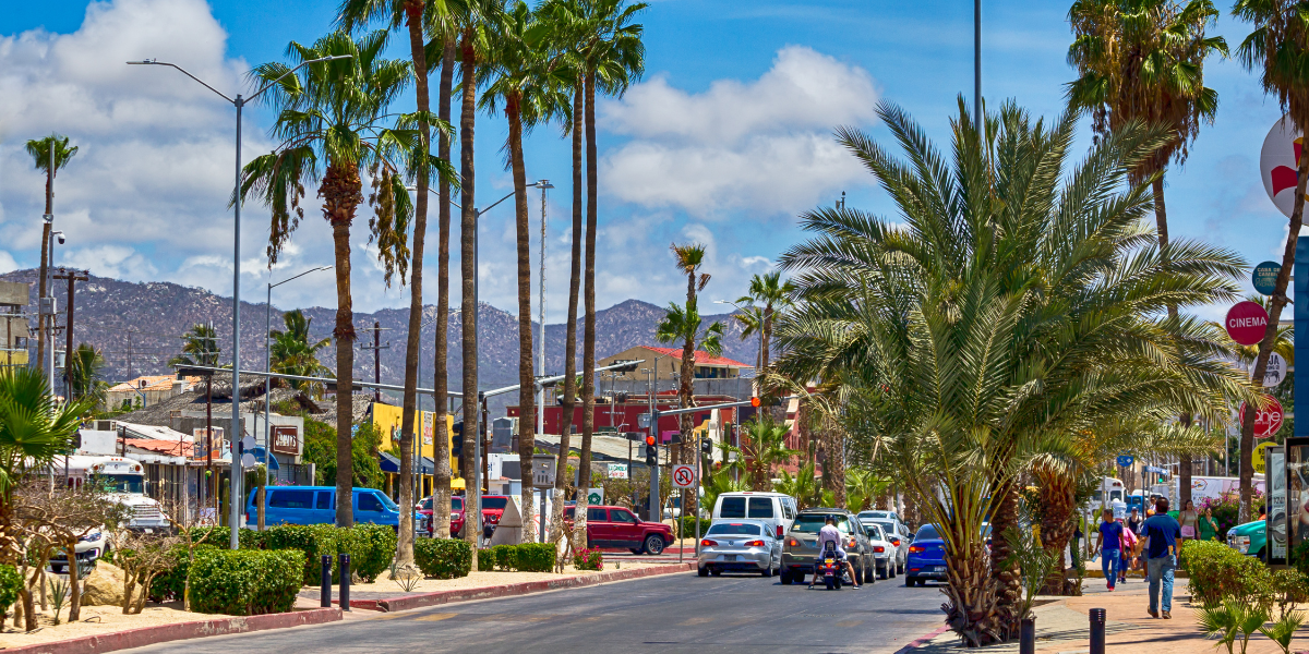 Calle principal soleada en zona turística con altas palmeras, tráfico de autos y montañas de fondo.