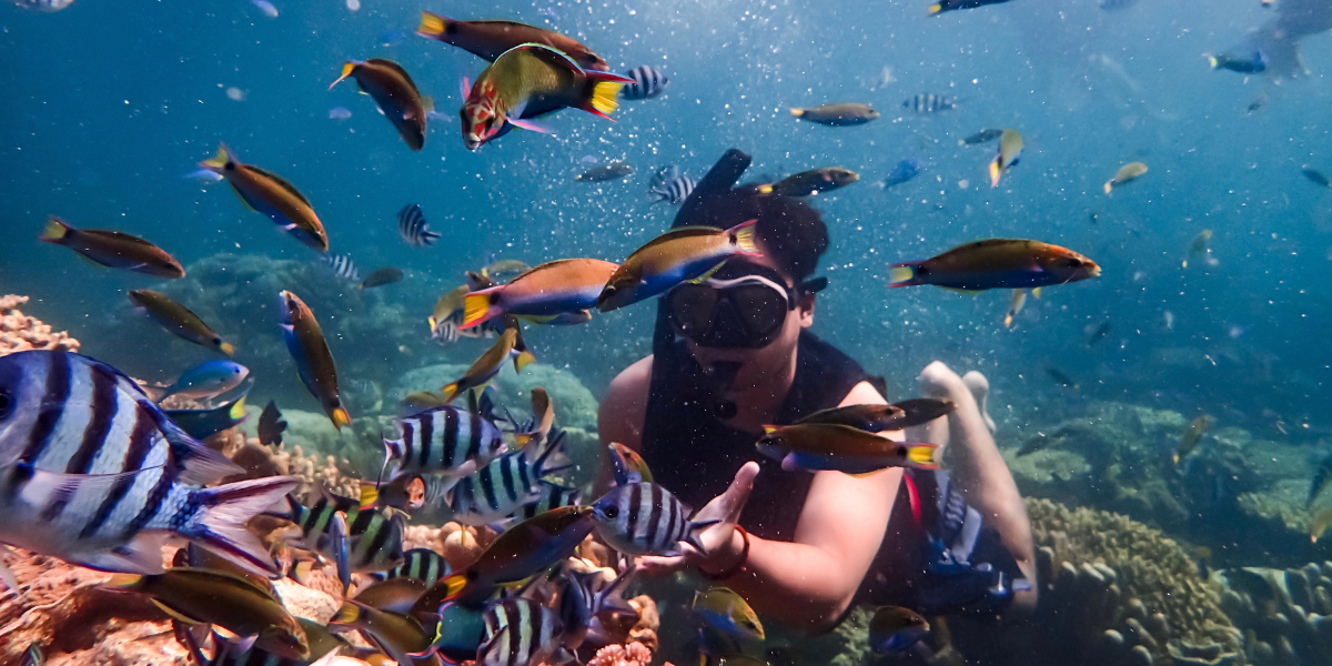 A young person snorkeling with fish all around them