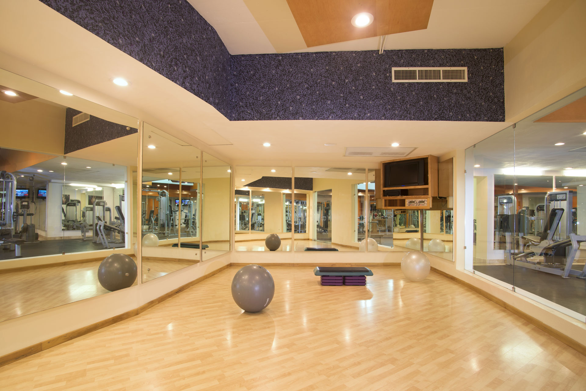 Villa Del Palmar Flamingos Riviera Nayarit Gym