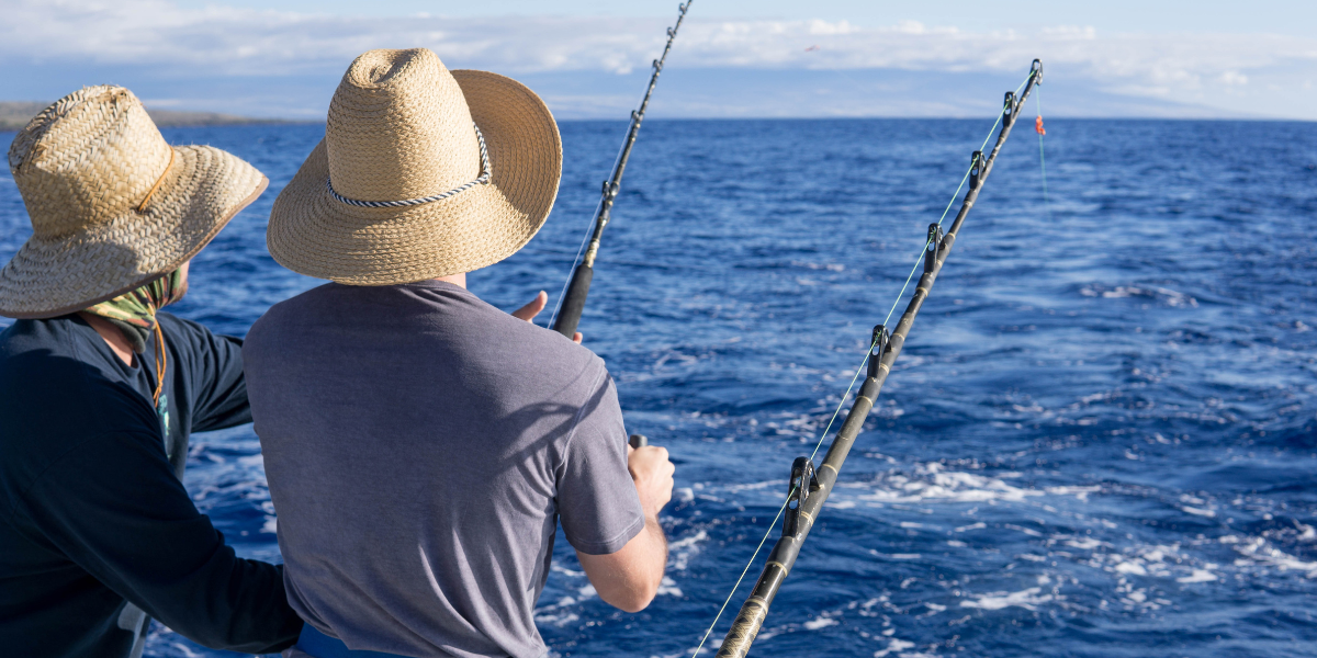 Cosas que hacer en Los Cabos en Octubre Torneos de Pesca en Cabo San Lucas 2026