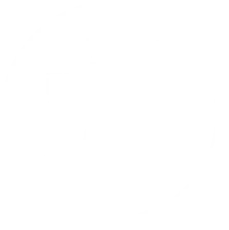 Experts Choice Award 