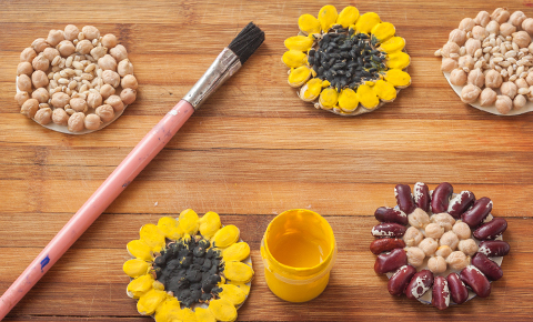 Villa Del Arco Cabo San Lucas Seed Art Villa Del Arco Cabo San Lucas Seed Art