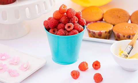 Creacion De Cupcakes Creacion De Cupcakes