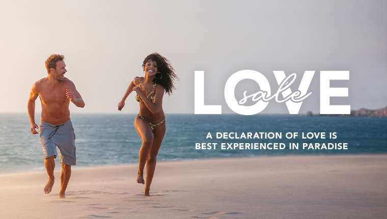 Love Sale  Love Sale