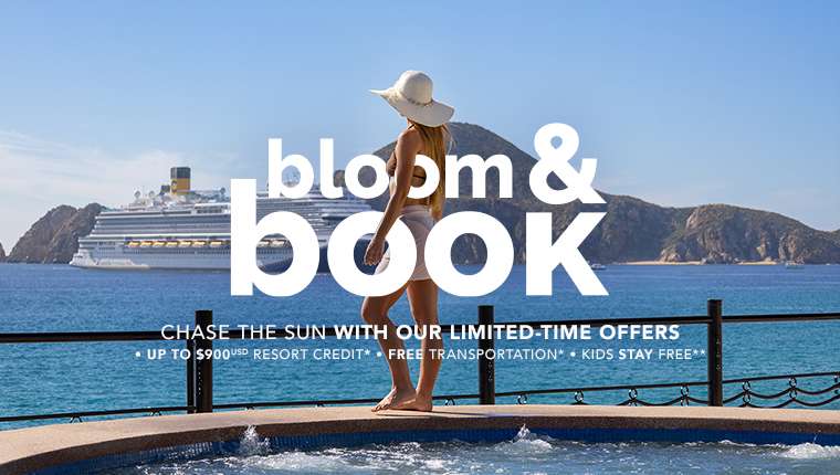 Bloom & Book