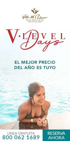 V-Level Days