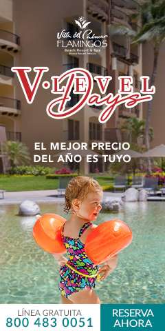 V-Level Days
