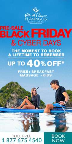 Pre Black Friday & Cyber Days