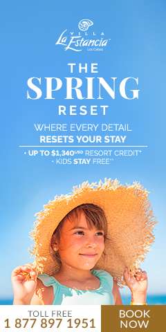 The Spring Reset