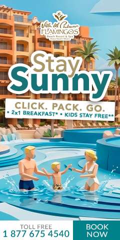 Stay Sunny