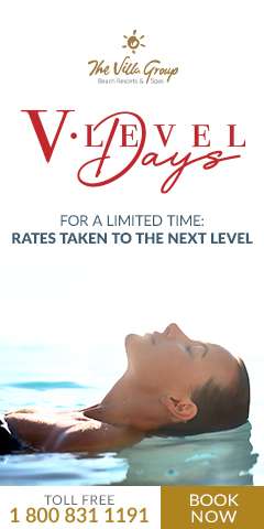 V-Level Days
