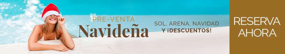 Venta Navideña de Verano