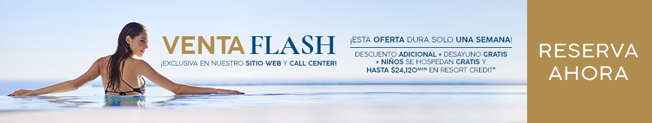 Venta Flash