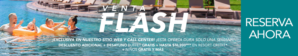 Venta Flash