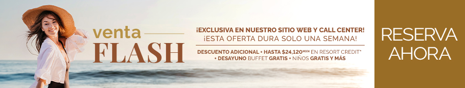 Venta Flash