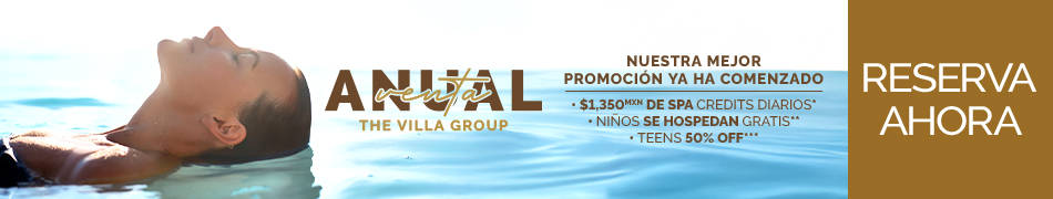 Venta Anual The Villa Group
