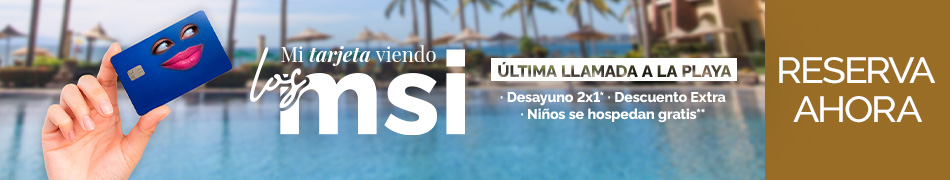 Mi tarjeta viendo los MSI