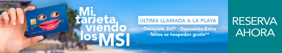Mi tarjeta viendo los MSI