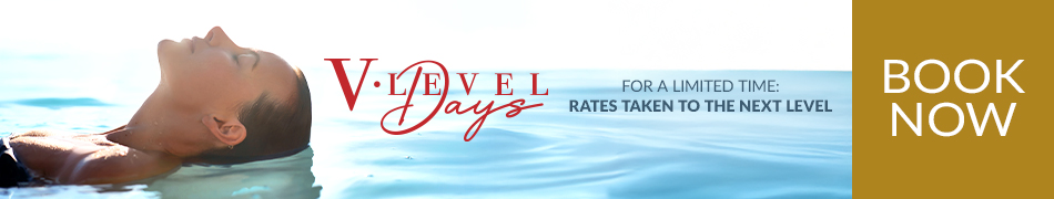 V-Level Days